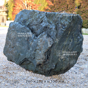 roche-samba-n-6-11833