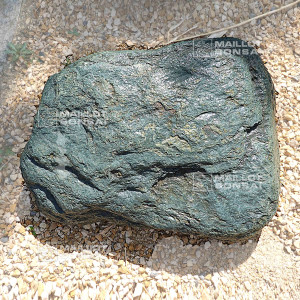 roche-samba-n-100-12225