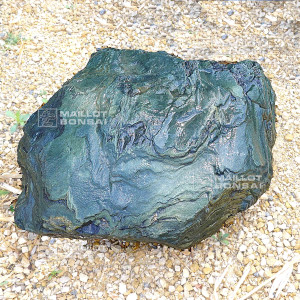 roche-samba-n-200-12226