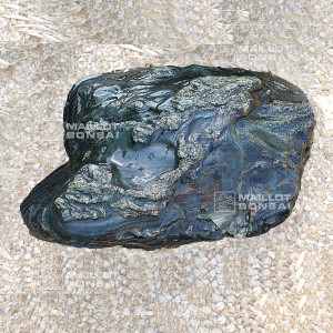 roche-samba-n-300-12227