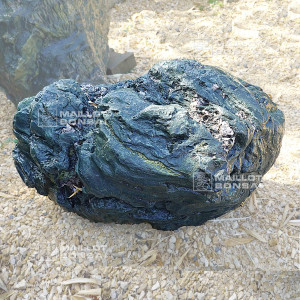 roche-samba-n-500-12229