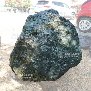 roche-samba-n-600-12230