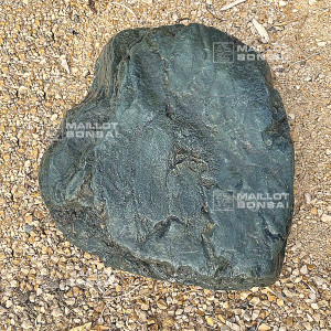 roche-samba-n-700-12231