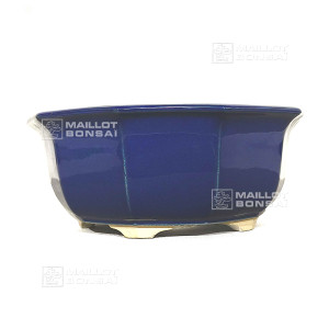 chinese-hexagonal-pot-12303