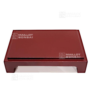 bonsai-exhibition-table-1