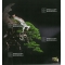 BONSAI FOCUS N° 103