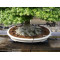 Engrais TAMAHI boulettes grosses 500 grammes