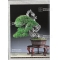 BONSAI FOCUS N° 105