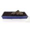 Volcanic Mount Fuji sand 2 ltr bag