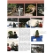 BONSAI FOCUS N° 86