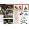 BONSAI FOCUS N° 86
