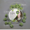 Fertilizer for bonsai and acer Basacote High K 6M
