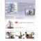 BONSAI FOCUS N° 118