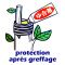 Mastic pour azalées 50 grammes.
