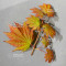 acer japonicum emmet's pumpkin