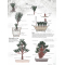 BONSAI FOCUS N° 120