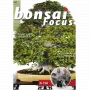 BONSAI FOCUS N° 104