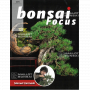 BONSAI FOCUS N° 114