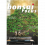 BONSAI FOCUS N° 132