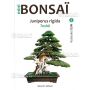 Mini bonsai N°8 genevrier rigida K. Gun