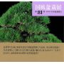 kokufu-ten bonsai exhibition catalogue 81 (2007)