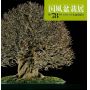 kokufu-ten bonsai exhibition catalogue 78 (2004)