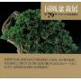 kokufu-ten bonsai exhibition catalogue 79 (2005)
