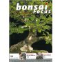 BONSAI FOCUS N° 58