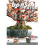 BONSAI FOCUS N° 60