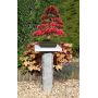 stele-granite-bonsai-160-cm