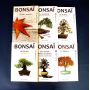 mini-bonsai-technical-handbooks-set-of-6