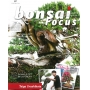 BONSAI FOCUS N° 87