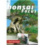 BONSAI FOCUS N° 89