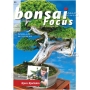 BONSAI FOCUS N° 90