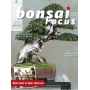 Bonsai focus magazine 95