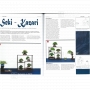 Bonsai focus magazine 96