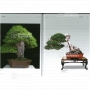 Bonsai focus magazine 96