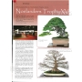 Bonsai focus magazine 86 March/April 2016