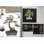 BONSAI FOCUS N° 104
