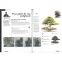 BONSAI FOCUS N° 62
