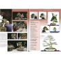 Bonsai focus magazine 86 March/April 2016