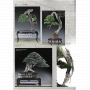 BONSAI FOCUS N° 106