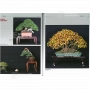Bonsai focus magazine 97