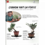 BONSAI FOCUS N° 127