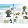 Bonsai focus magazine 97