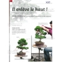 Bonsai focus magazine 86 March/April 2016