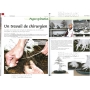 Bonsai focus magazine 86 March/April 2016