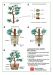 rooter-pot-user-s-guide