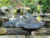 inside-kiyoshi-murakawa-s-bonsai-nursery