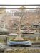 inside-kiyoshi-murakawa-s-bonsai-nursery